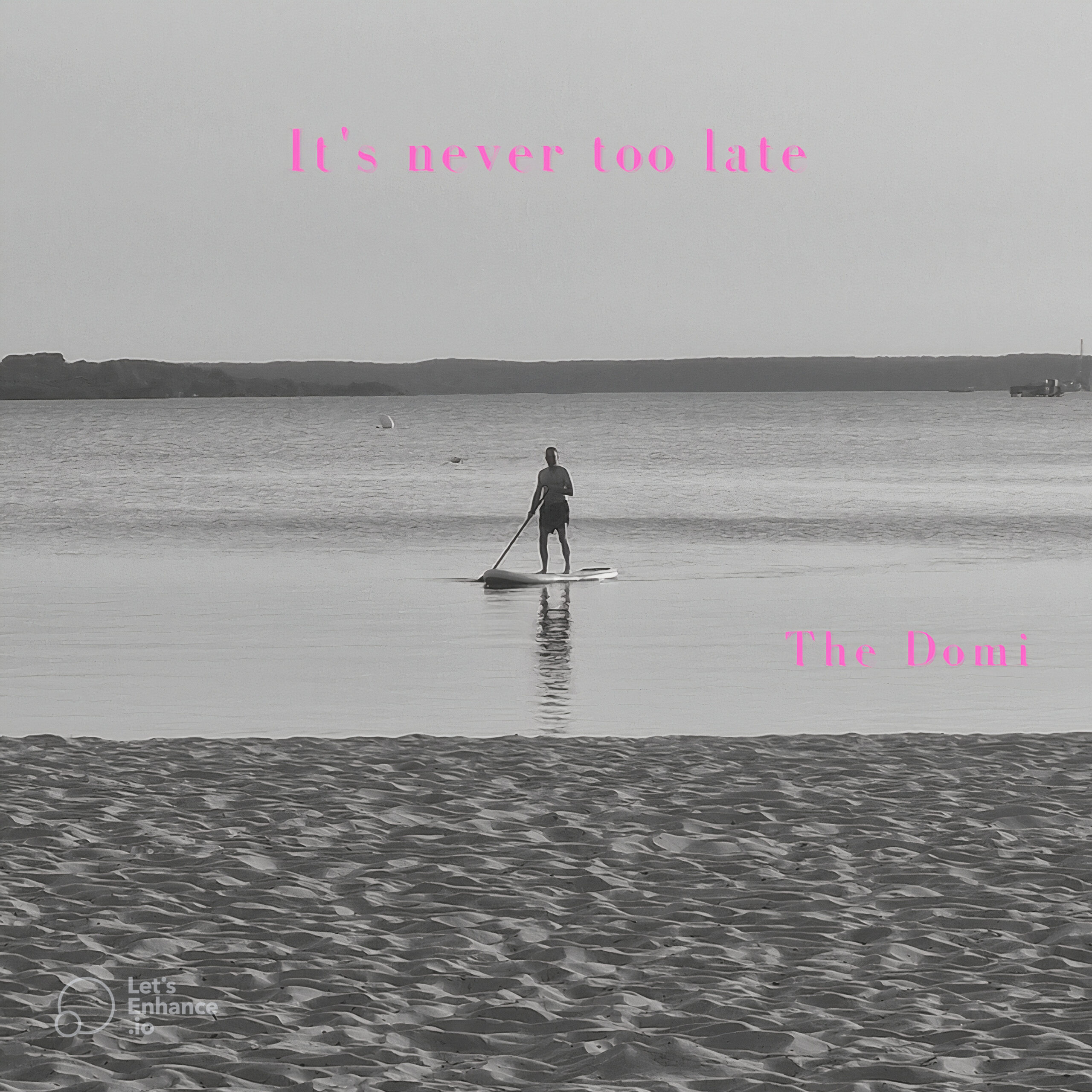 alt="The Domi - It's never too late (2022, unsigned) COVER"