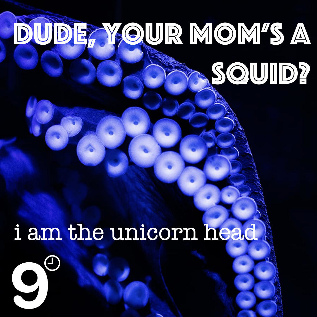 alt="9 o'clock nasty & I am the Unicorn Head - Dude, your Mom's a Squid? (2023, unsigned) COVER"