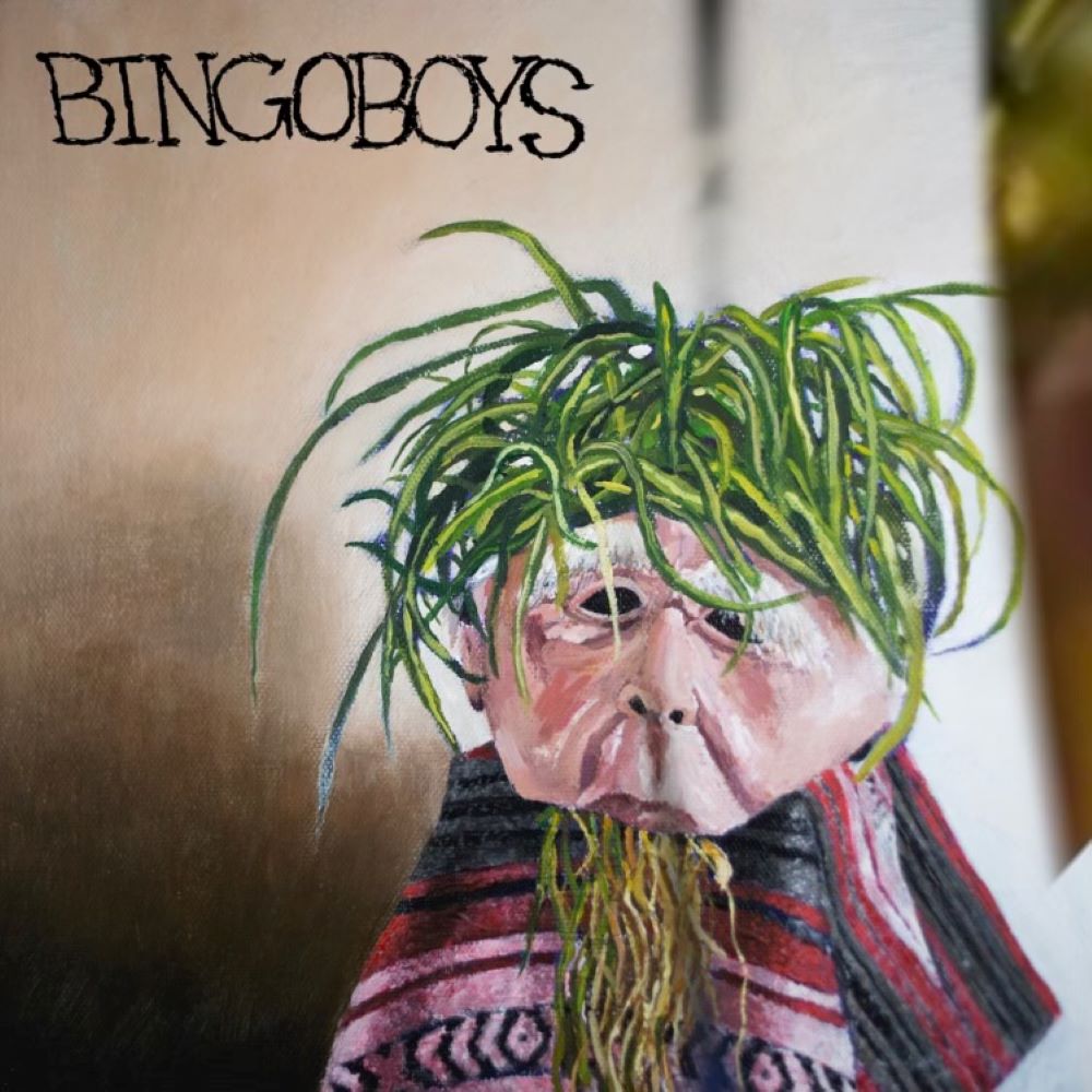 alt="Bingo Boys - Freak out and Leave (2023, Radio Cake Records) COVER"