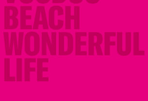 alt="Voodoo Beach - Wonderful Life (2023, Crazysane Records) PROMO"