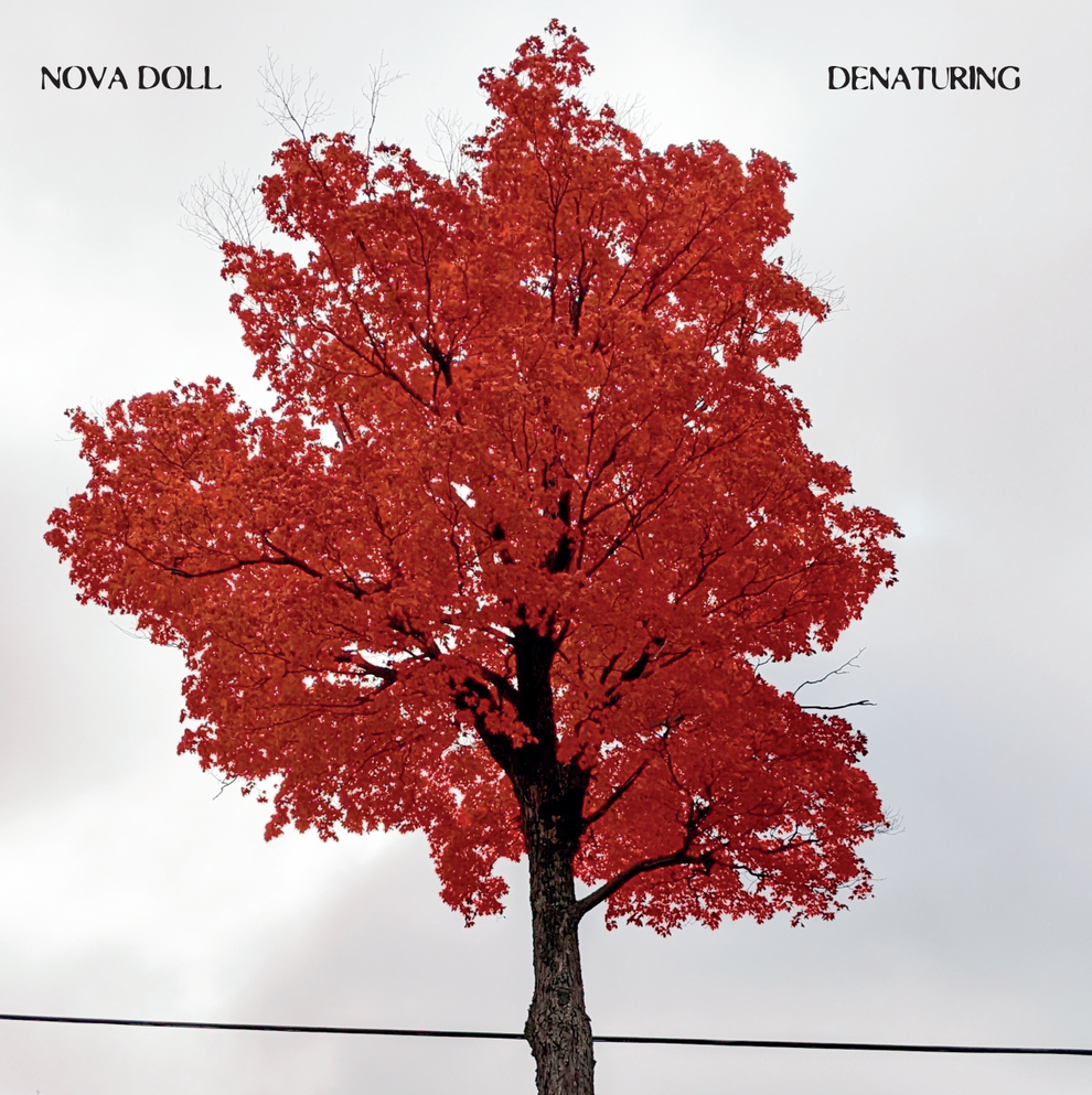 alt="Nova Doll - Denaturing (2023, Black Throne Productions/Tarantula Tapes/Doomshire Cassette Kult) COVER"