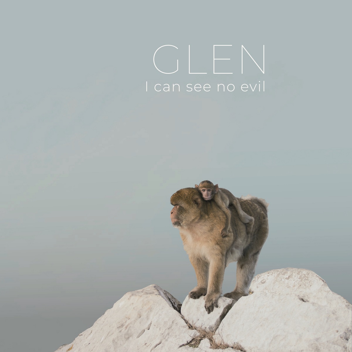 alt="Glen - I Can See No Evil (2023, Sound Effect Records/Falling Elevators) COVER"