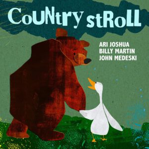 alt="Ari Joshua, Billy Martin & John Medeski - Country Stroll (2024, Music Factory Records) COVER"