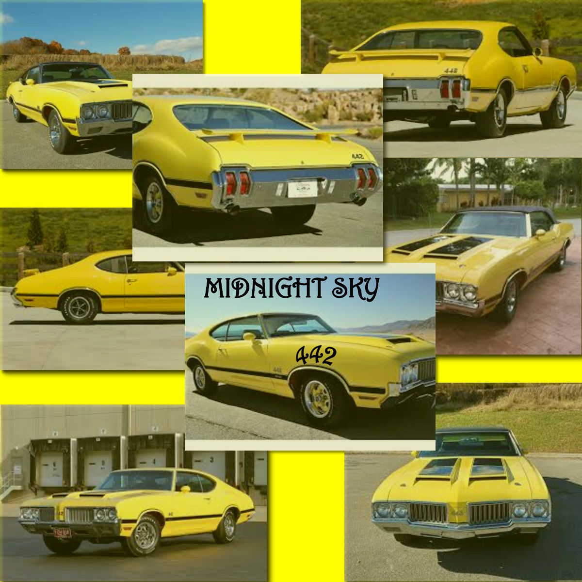 alt="Midnight Sky - 442 (2024, MTS Records) COVER"