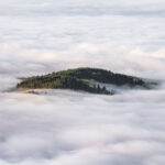 Pathfinding in the Black Forest