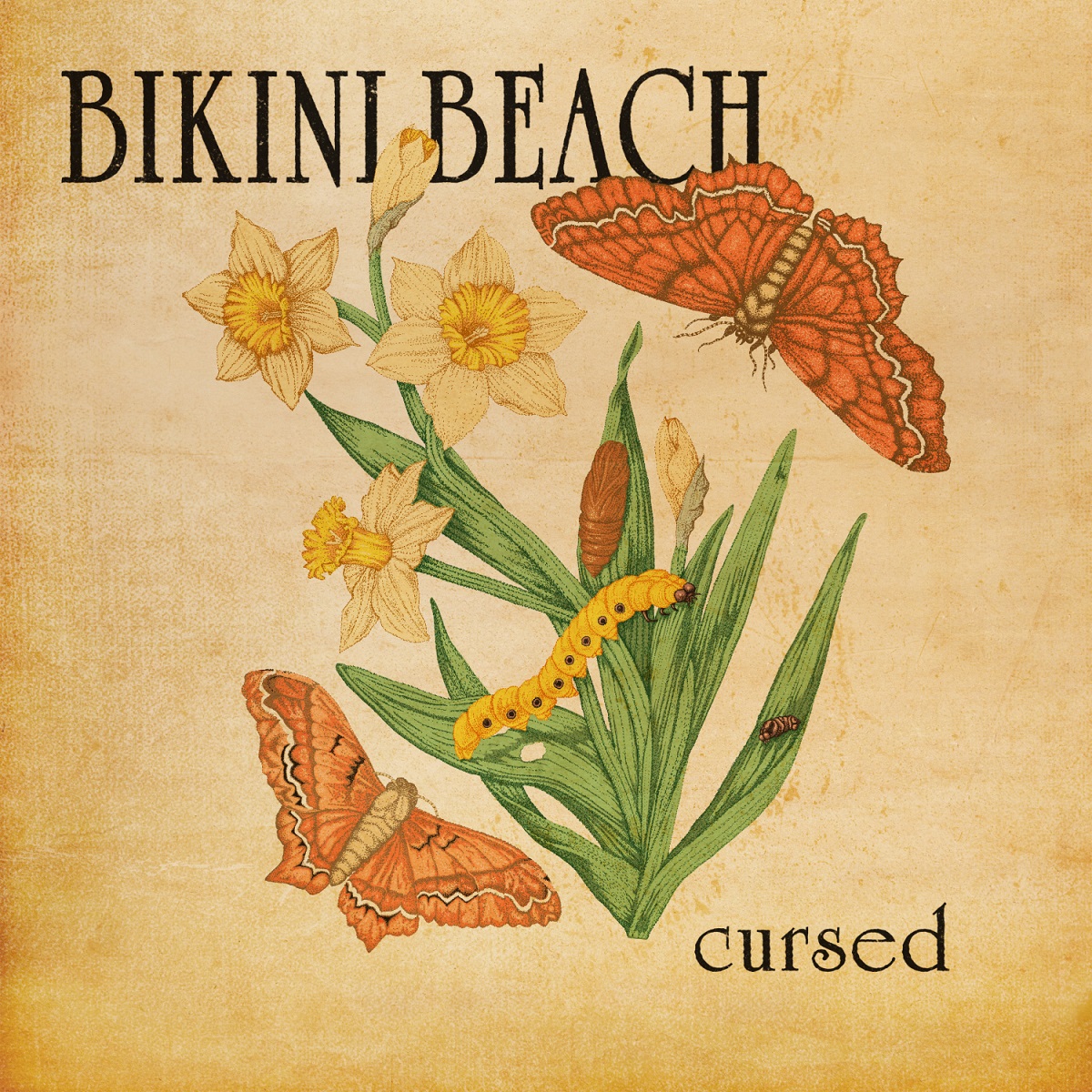 Mango of the Week: Bikini Beach - Cursed (Heavy Rock / Fuzz Rock | Konstanz, Germany)