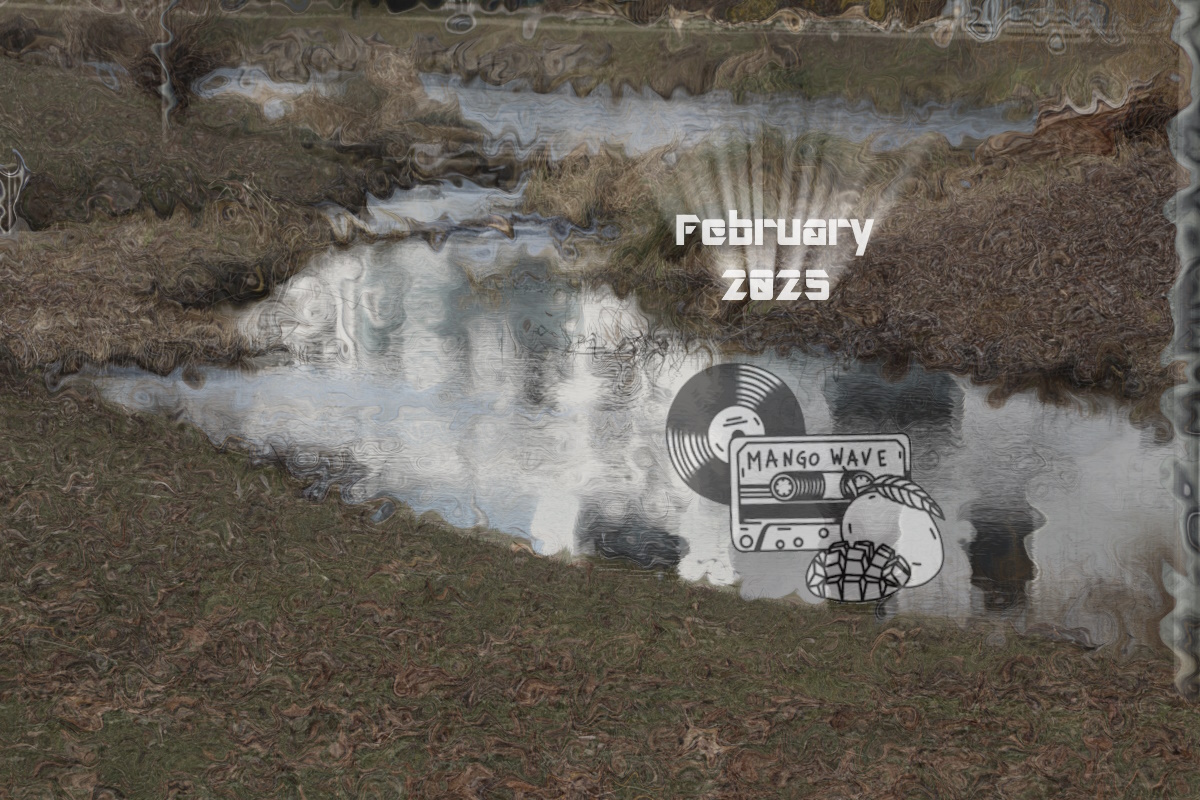 MangoWave Charts: February 2025