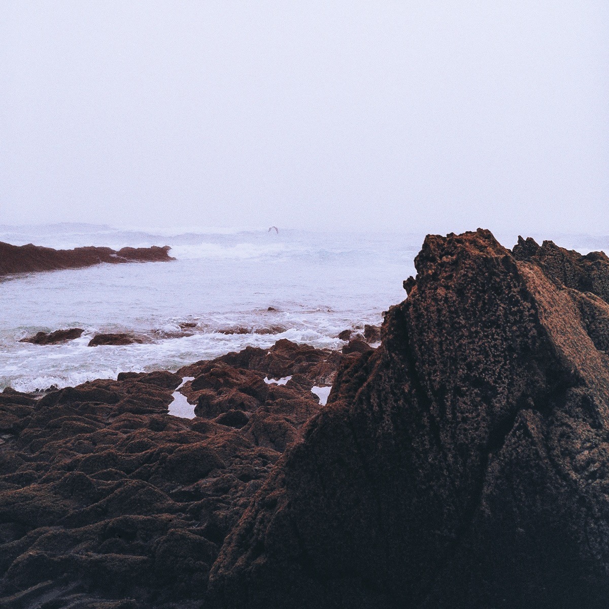 Coltaine Progress Towards The Depths