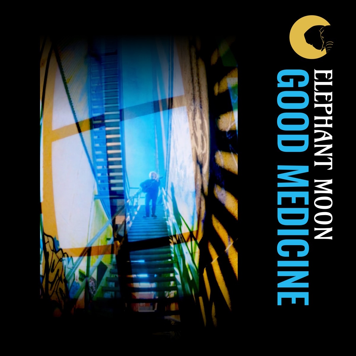 Elephant Moon – Good Medicine