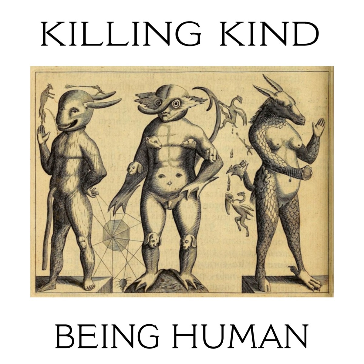 Killing Kind – Being Human