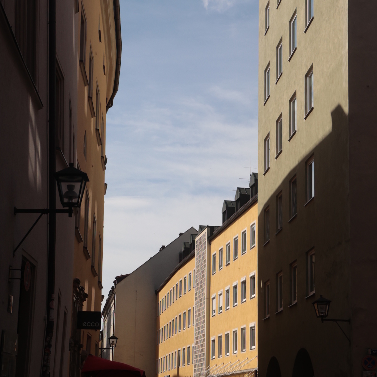 Photo of the Week