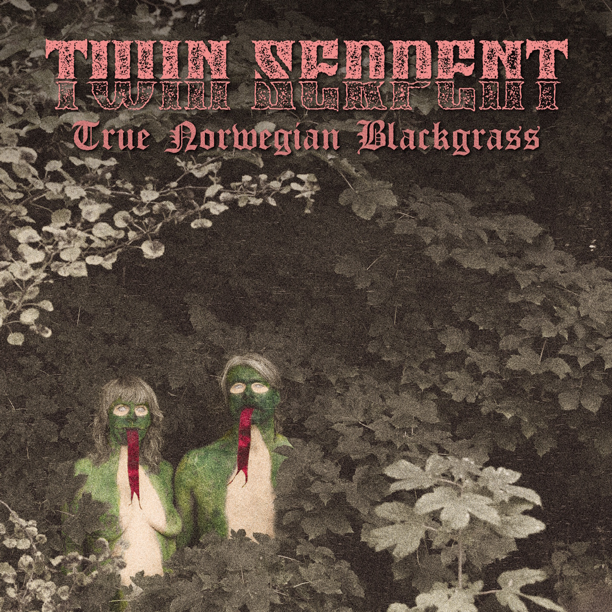 Twin Serpent – True Norwegian Blackgrass