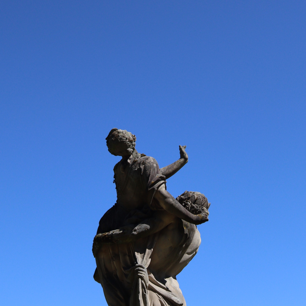 Photo of the Week
