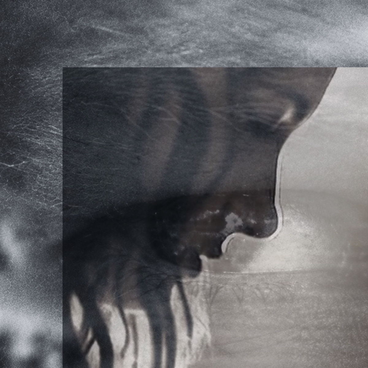 Korda Korder – Edge Of The World